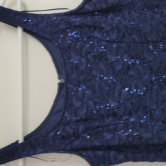 Alex Evenings Lace Sequence Evening Dress Size 12 - Picture 6 of 8